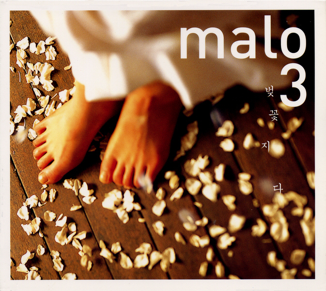 Malo – 벚꽃지다