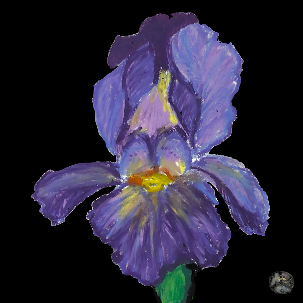 모모 <If this can't be tolerated, what can't be?>