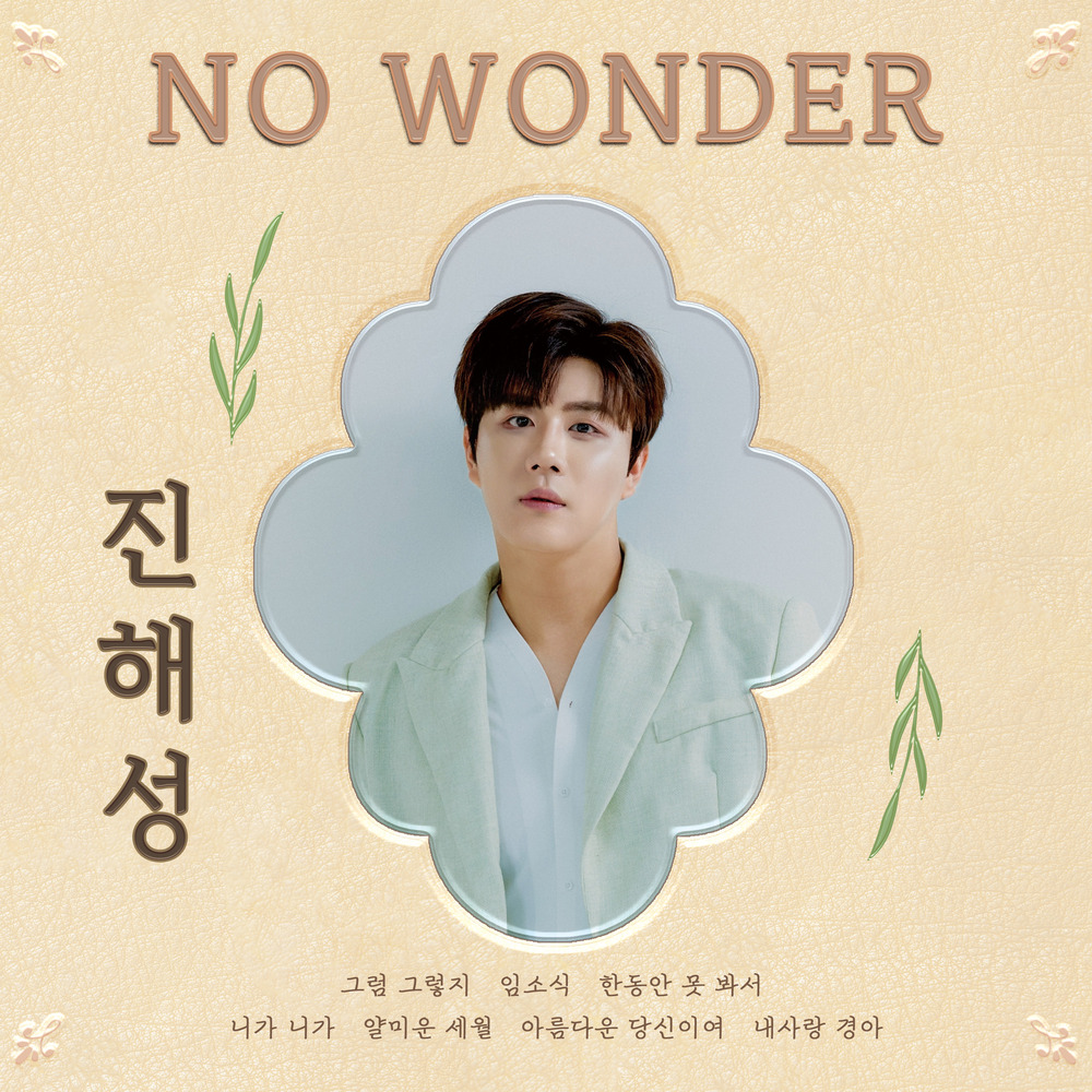 Jin Hae Sung – No Wonder