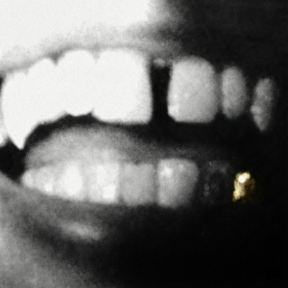 missing tooth by fish dish