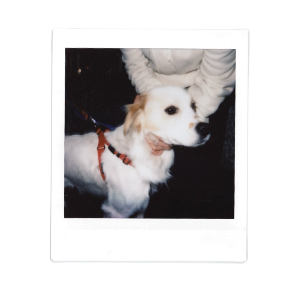Twlv - GOODBOY SYNDROME - Single 1 4148220