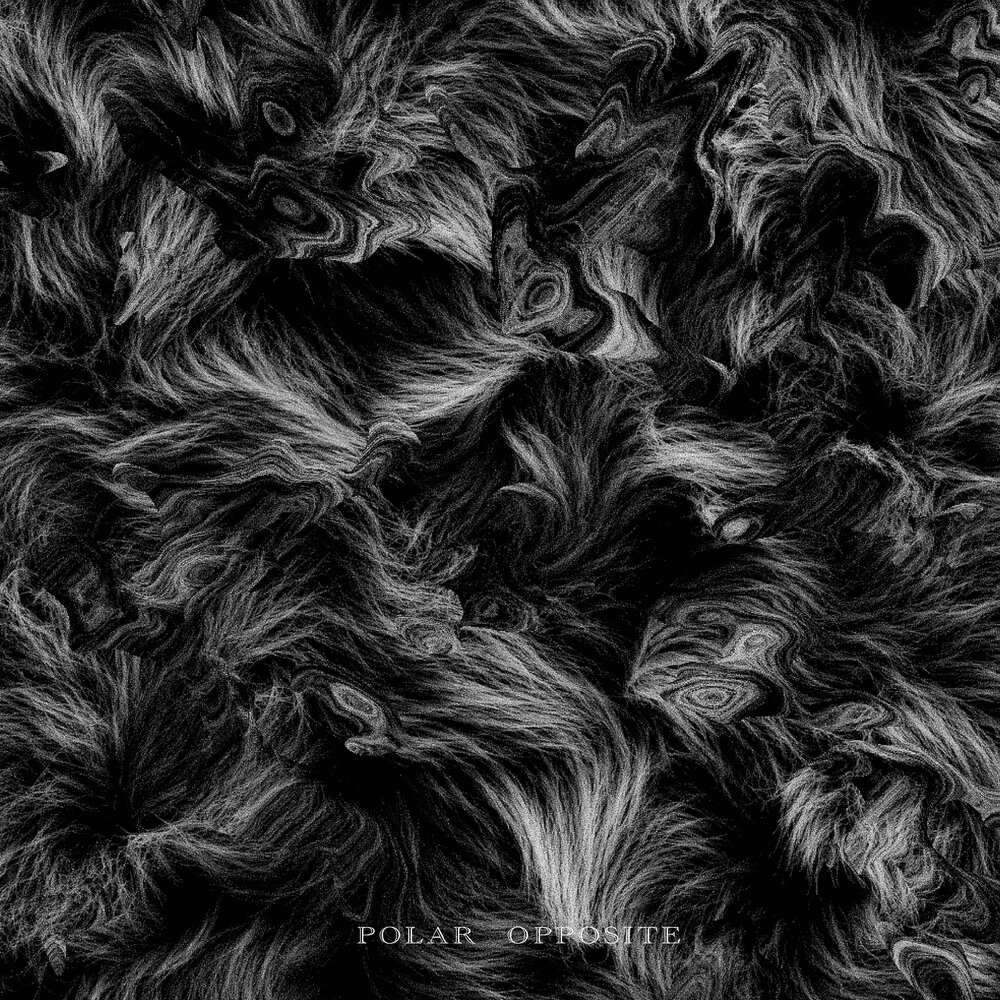 Howlin – Polar Opposite – Single