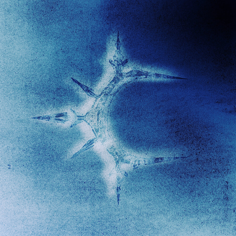 Colde – ICY BABY – EP