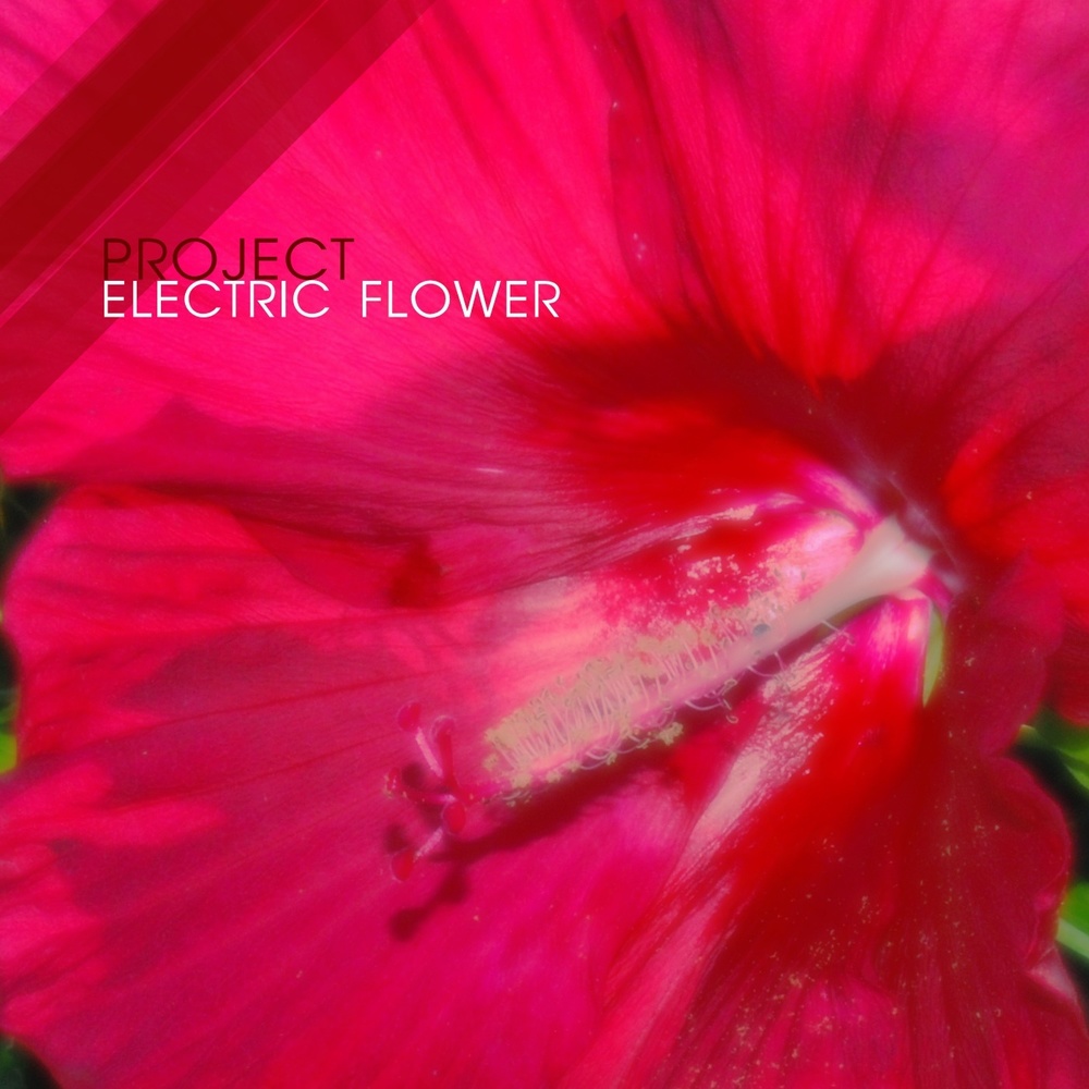 YK – Project Electric Flower – EP