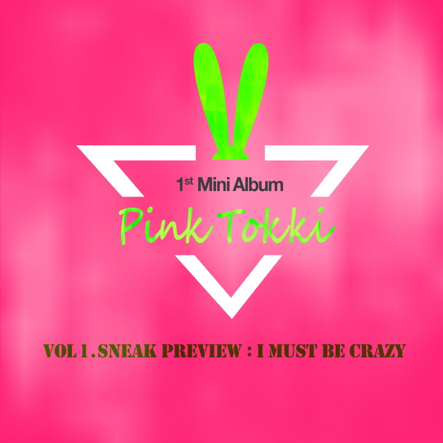 Pink Tokki – Vol.1. Sneak Preview ‘I Must Be Crazy’