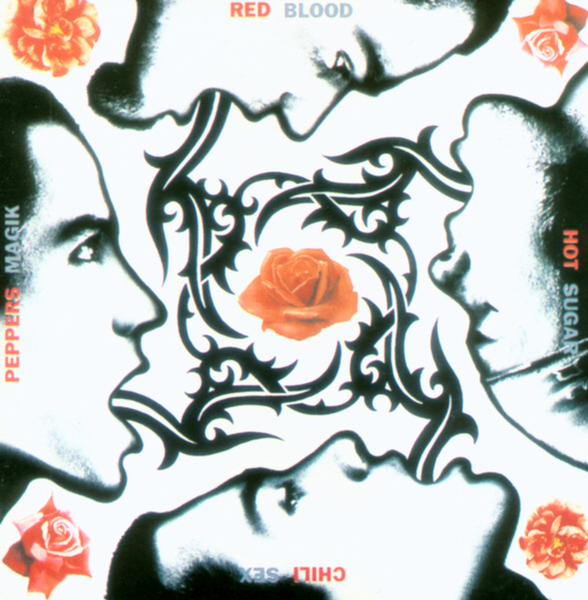 Blood Sugar Sex Magik/Red Hot Chili Peppers(레드 핫 칠리 페퍼스