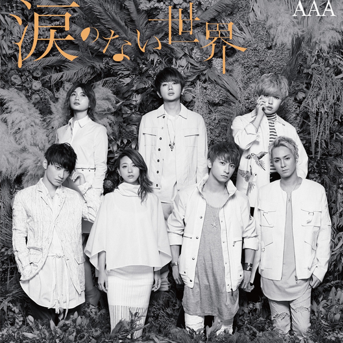 涙のない世界 涙のない世界/AAA - 벅스