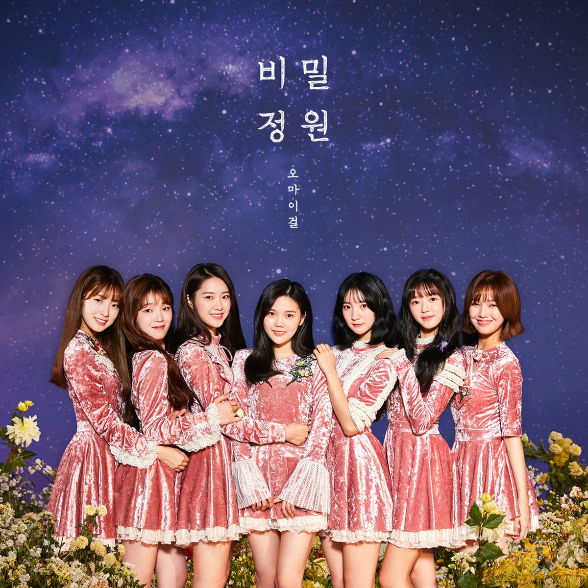 OH MY GIRL 오마이걸 直筆 サイン 非売品 アルバム cd 비밀정원 20140893.jpg
