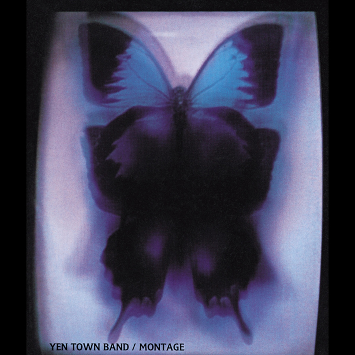 Swallowtail Butterfly -Aino Uta- (Remastered 2015)/Yen Town Band