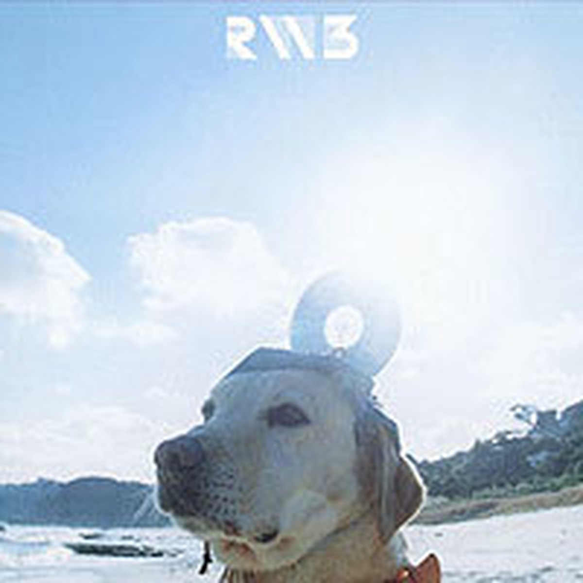 最大 公約 数 radwimps