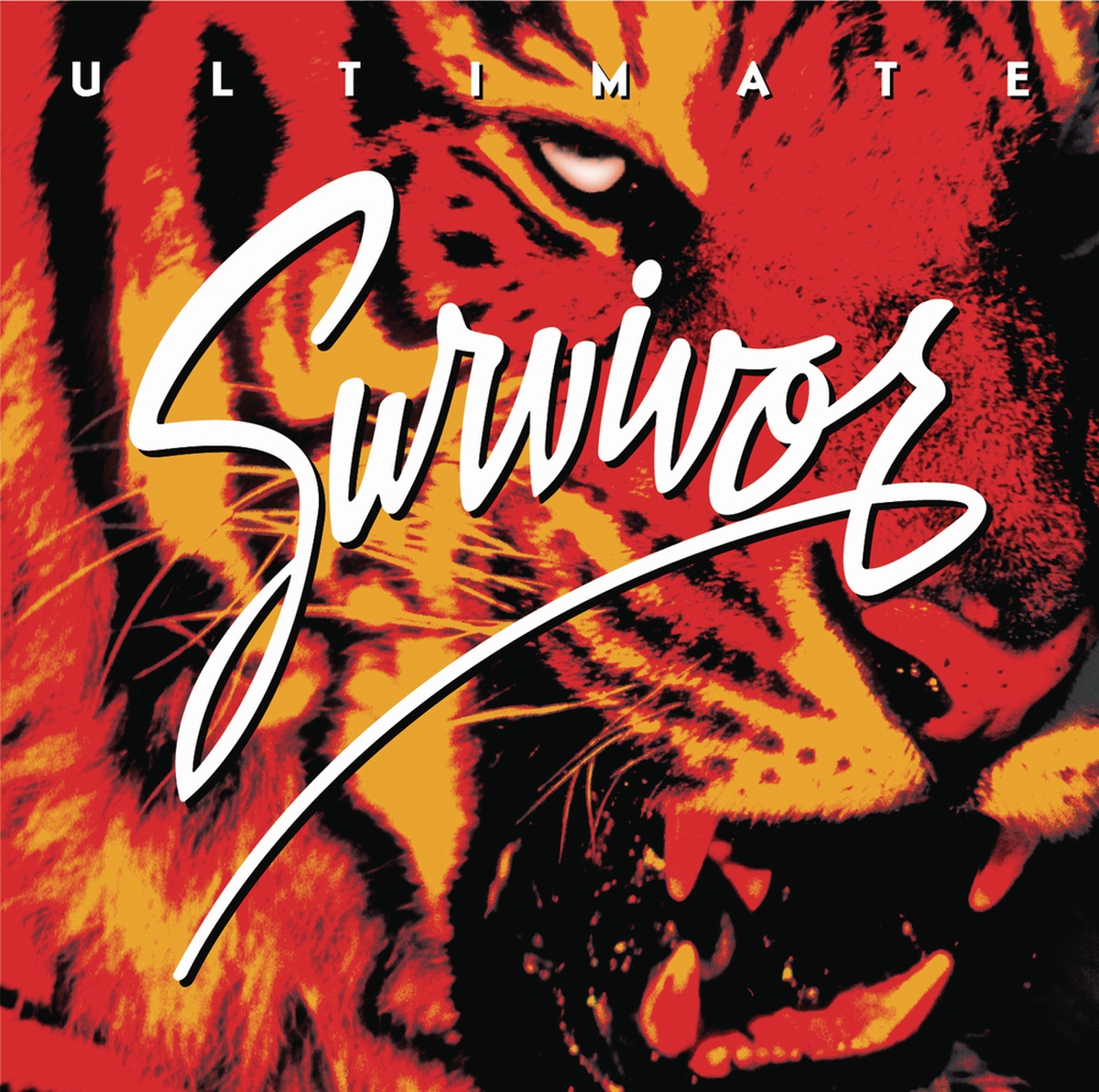 The Search Is Over/Survivor(서바이버) - 벅스