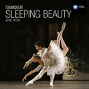Tchaikovsky: The Sleeping Beauty, Op. 66 앨범 대표이미지