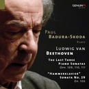 Beethoven, L. Van: Piano Sonatas Nos. 29-32 (Badura-Skoda) 앨범 대표이미지