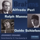 Brahms, J.: Clarinet Quintet / Piano Quintet (Manno, Perl, Paetsch-Neftel, Cunz, Rohde, Schiefen) 앨범 대표이미지