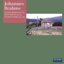 Brahms, J.: Clarinet Quintet / Piano Quintet / Clarinet Sonatas Nos. 1 And 2 (Manno, Perl, Paetsch-Neftel, Cunz, Rohde, Schiefen) 앨범 대표이미지