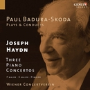 Haydn, J.: Piano Concertos (Badura-Skoda, Vienna Concert Society) 앨범 대표이미지