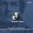 Schubert, F.: 6 Moments Musicaux / Allegretto, D. 915 / Impromptus, Opp. 90 And 142 (Badura-Skoda) 앨범 대표이미지