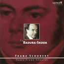 Schubert, F.: Piano Sonatas Nos. 12, 13 And 19 (Badura-Skoda) 앨범 대표이미지