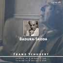 Schubert, F.: Piano Sonatas Nos. 14 And 20 (Badura-Skoda) 앨범 대표이미지