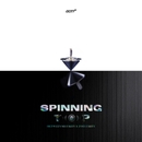 SPINNING TOP : BETWEEN SECURITY & INSECURITY 앨범 대표이미지