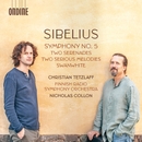 Sibelius: Orchestral Works (시벨리우스: 관현악 작품) 앨범 대표이미지