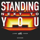 Standing Next to You - USHER Remix 앨범 대표이미지