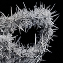 고통은 나의 관 앨범 대표이미지