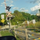 음악을 관둘 때가 된듯해 앨범 대표이미지