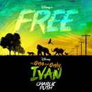 Free (From Disney's "The One And Only Ivan") 앨범 대표이미지
