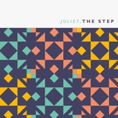 The Step 앨범 대표이미지