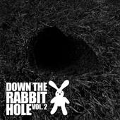 "Down The Rabbit Hole, Vol.2" 앨범 대표이미지