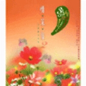 情.深.緣 2 - 至愛動人回憶 (정.심.연.2 - 지애동인회억) 앨범 대표이미지
