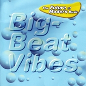 Big Beat Vibes (Original Dubstep & Chemical Bass Beats) 앨범 대표이미지