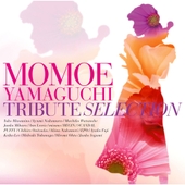 MOMOE YAMAGUCHI TRIBUTE SELECTION 앨범 대표이미지