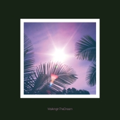 Walking In The Dream 앨범 대표이미지