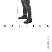 Walking - The 2nd Album 앨범 대표이미지
