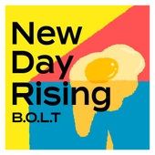 New Day Rising 앨범 대표이미지