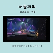 버들피리 "아나로그 빅3" 앨범 대표이미지