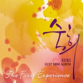 The First Experience 앨범 대표이미지
