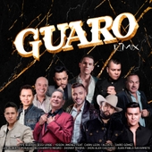 Guaro (Remix) 앨범 대표이미지