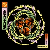 Image Cover