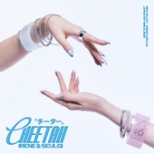 Image Cover
