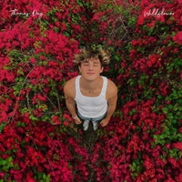 Image Cover