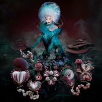 Image Cover