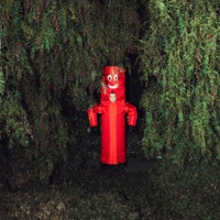 Image Cover