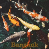 Bangkok 사진