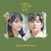 어쩌다 발견한 하루 OST/Various Artists - 벅스