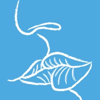 写し鏡のソロピアノ (거울에 비친 솔로 피아노, Solo Piano In The Mirror) 사진