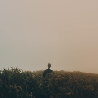 그 어딘가에 사진