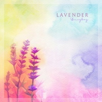 Lavender 사진